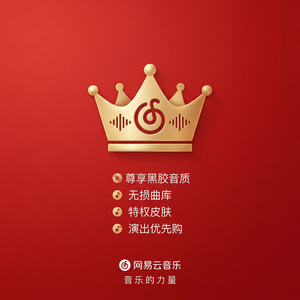 网易云音乐缅甸音乐使用指南